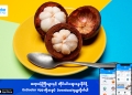 can we eat mangosteen with sugar
