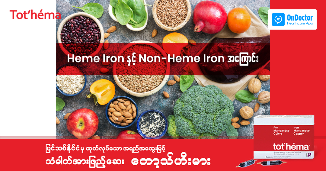 About Heme iron and Non-heme iron