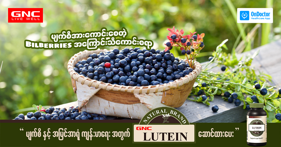 Good to know about Bilberries that improve eyesight
