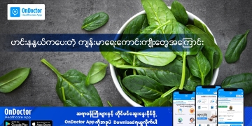 About the health benefits of curry leaves
