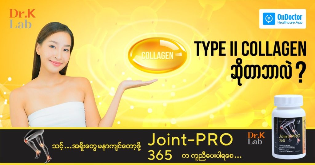 Type II Collagen ဆိုတာဘာလဲ?